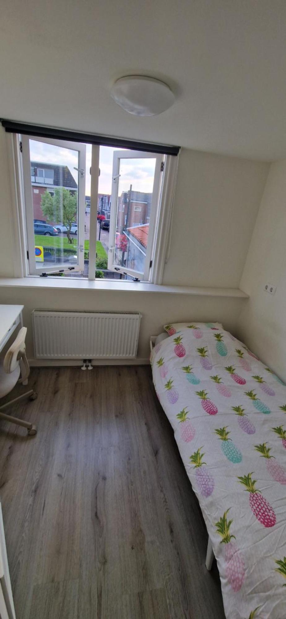 Willa Der Springbrunnen Egmond aan Zee Zewnętrze zdjęcie